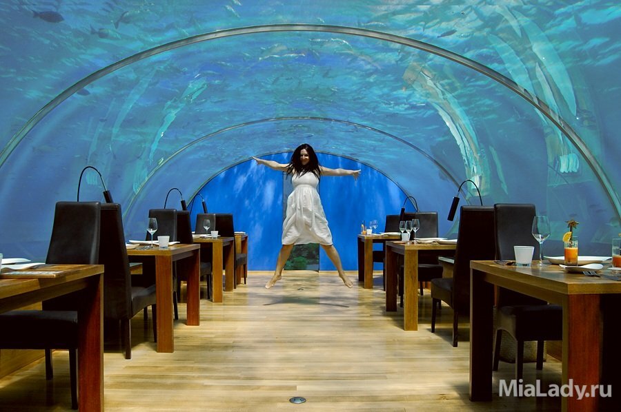 ресторан под водой, необычные рестораны, подводный ресторан