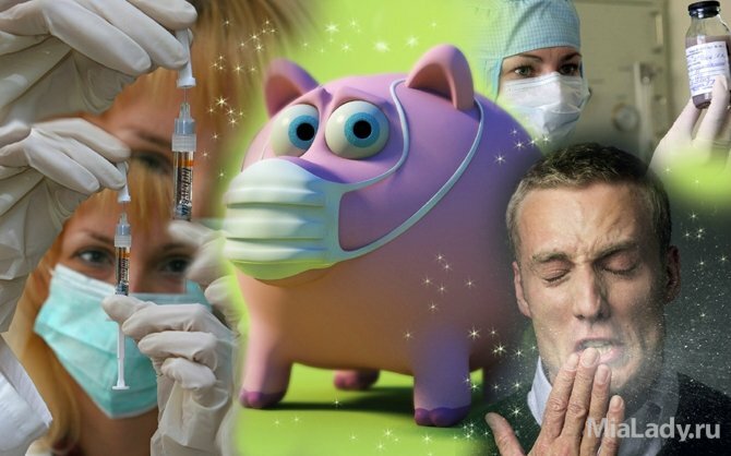 профилактика свиного гриппа, свиной грипп, симптомы свиного гриппа 2016